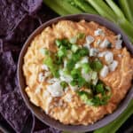 Dip in a bowl with chips and celery.