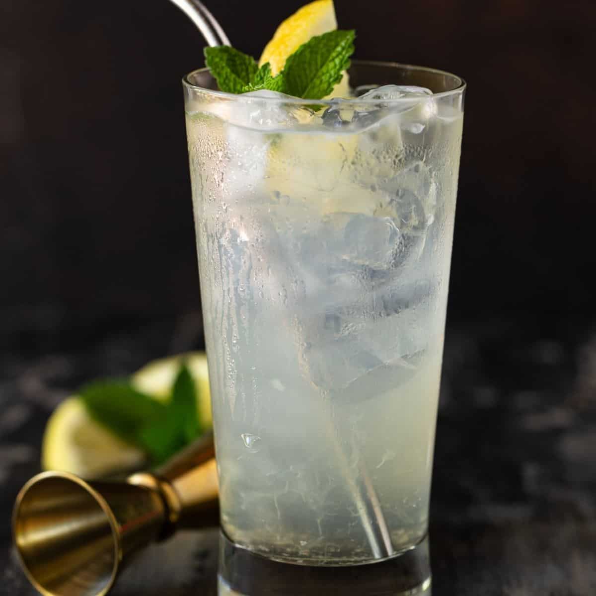Elderflower Vodka Lemonade