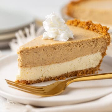 A piece of cake and fork on a plate, with Cheesecake and Garnish.