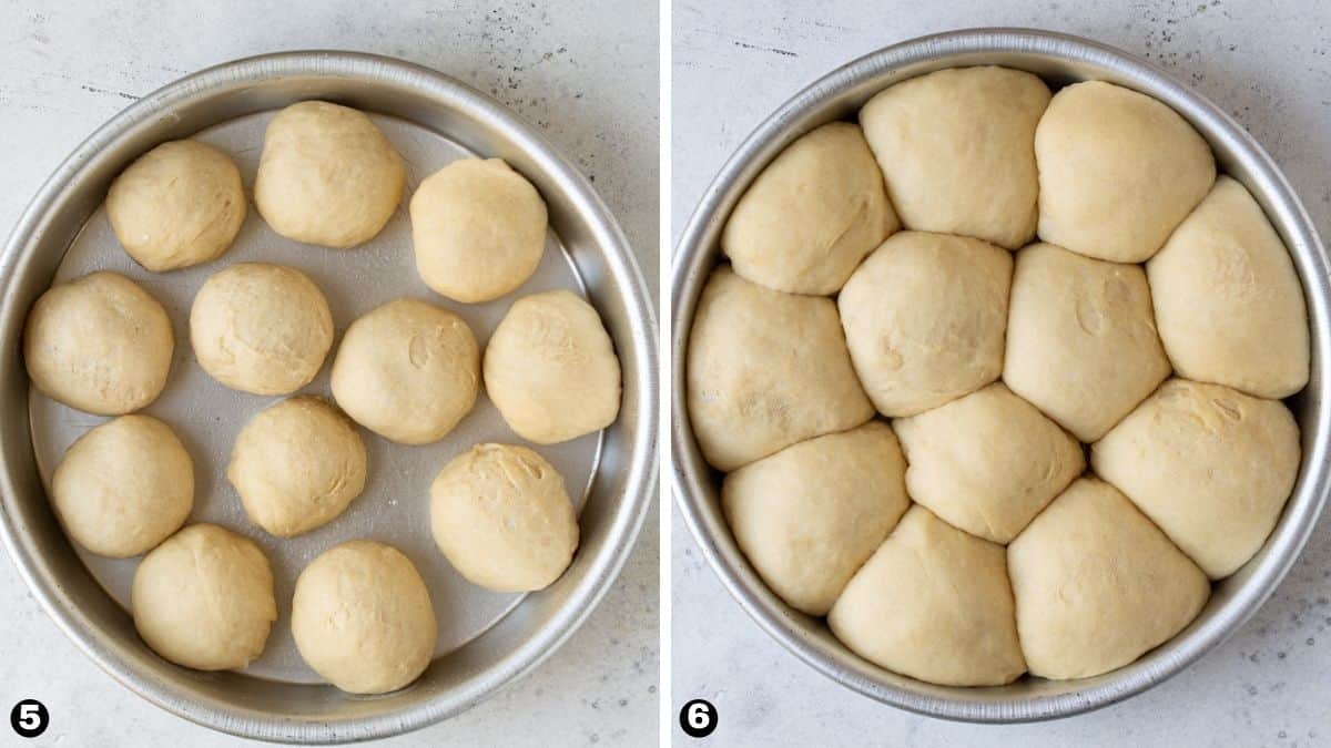 Dinner rolls rising in cake pan. 