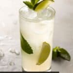single glass on table with mint leaves and lime wedges.