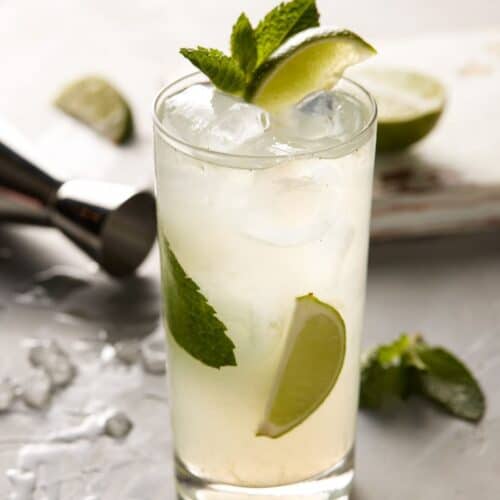 tequila mojito in a glass with ice, mint leaves, and lime wedge garnishes.
