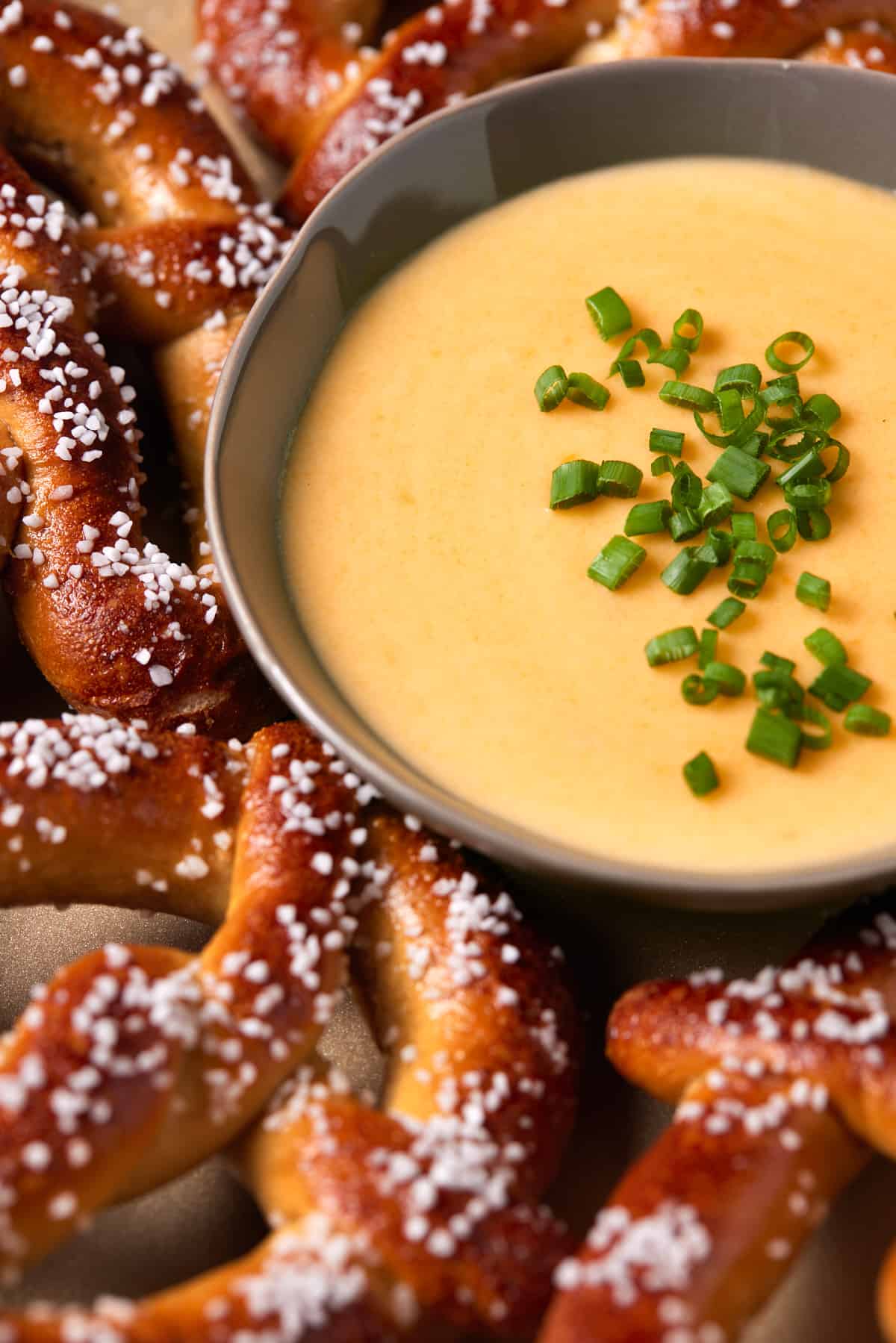 Cheese dip with chives and soft pretzels. 