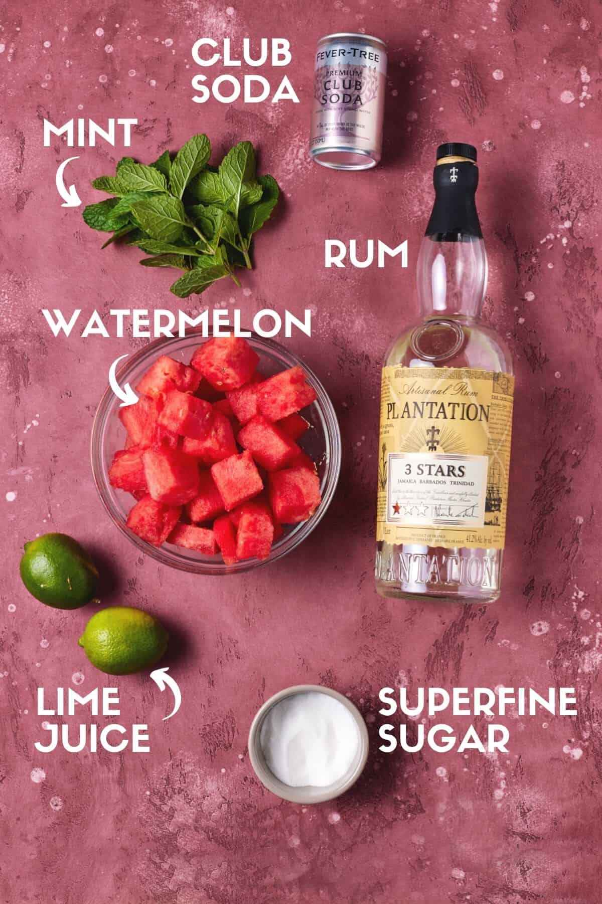 Bottle of rum, watermelon cubes, sugar, limes and club soda for mojito. 