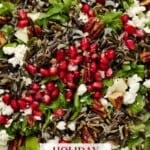 Holiday Salad with wild rice, pecans, goat cheese, apples and arugula on a white plate.