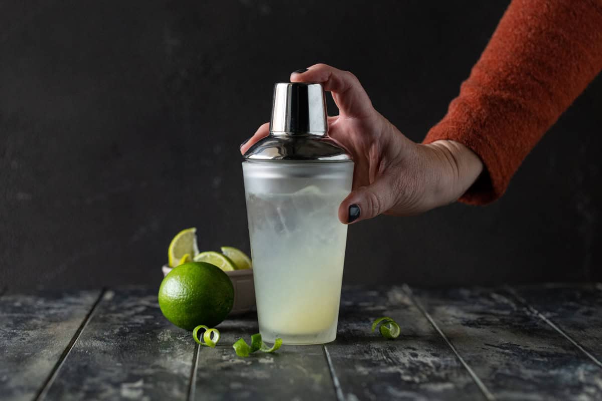 Closed shaker, ready to shake.