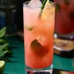 Highball glasses filled with watermelon mojitos and garnished with fresh mint and lime wheels.
